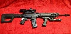 Sig Sauer 5.56