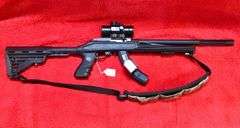 Tactical Solutions Ruger 10/22 - 22LR