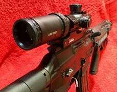 Sig Sauer 5.56