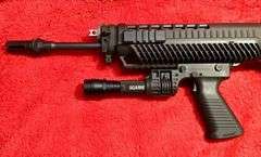 Sig Sauer 5.56
