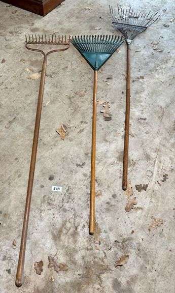 3 Rakes image