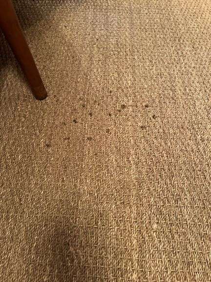 8 x 10 Sisal Area rug