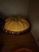 Halloween and More!