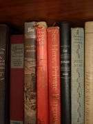 Contents is 5th set of shelves