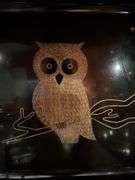 Owl lot