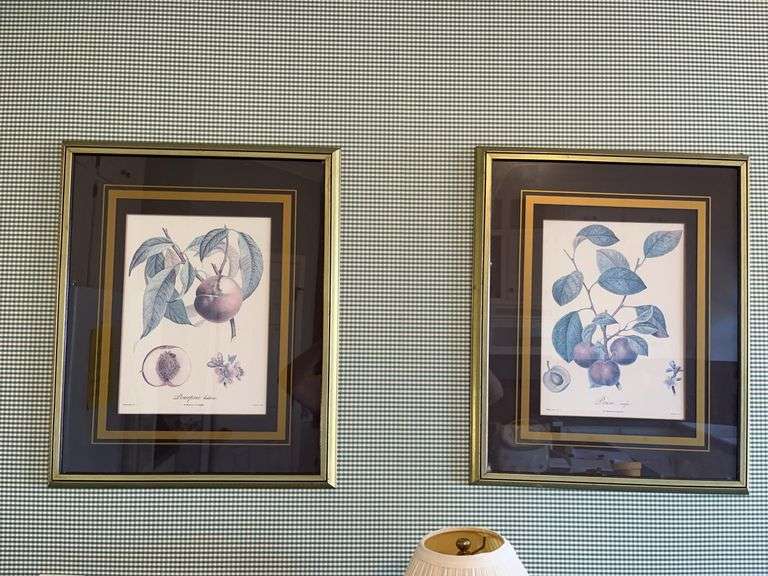 Set of 3 Framed Prints: Botanical Fruits and Girl with Violin image