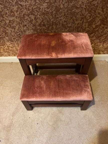 Steps with Plush Seats image