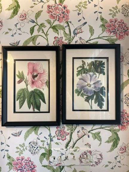 Set of 2 Framed Botanical Prints image