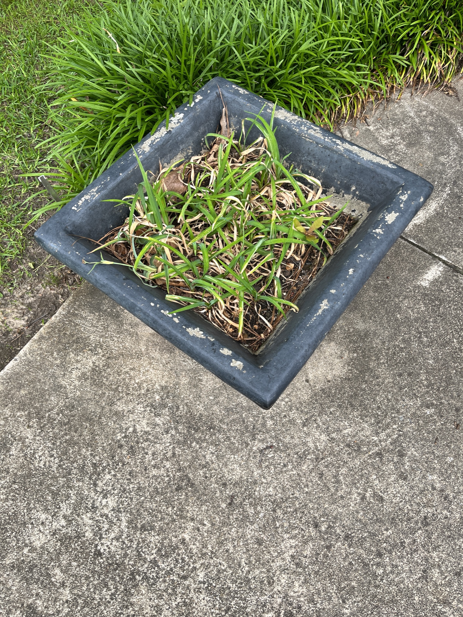 Lot image 5