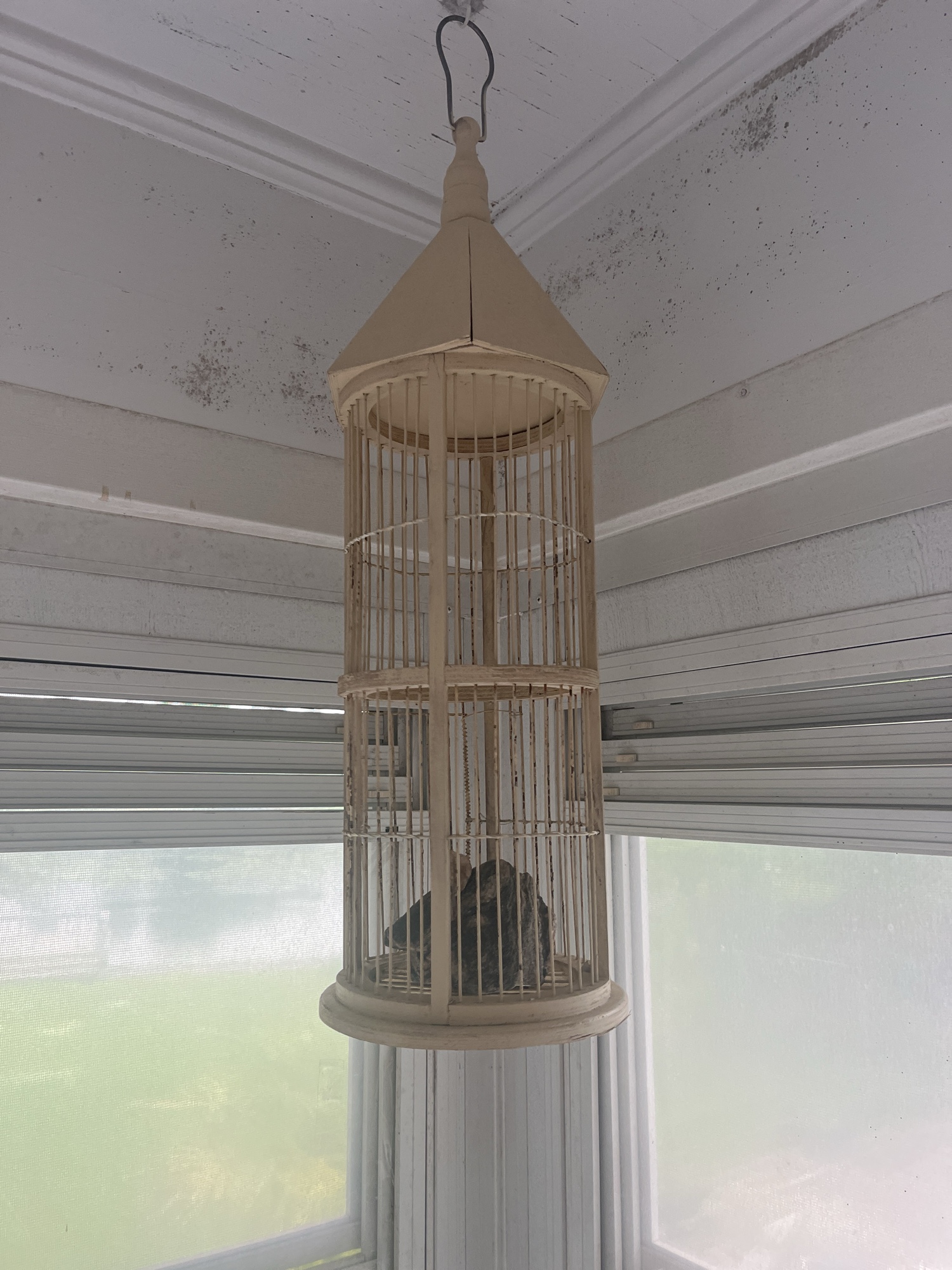 Lot image 3