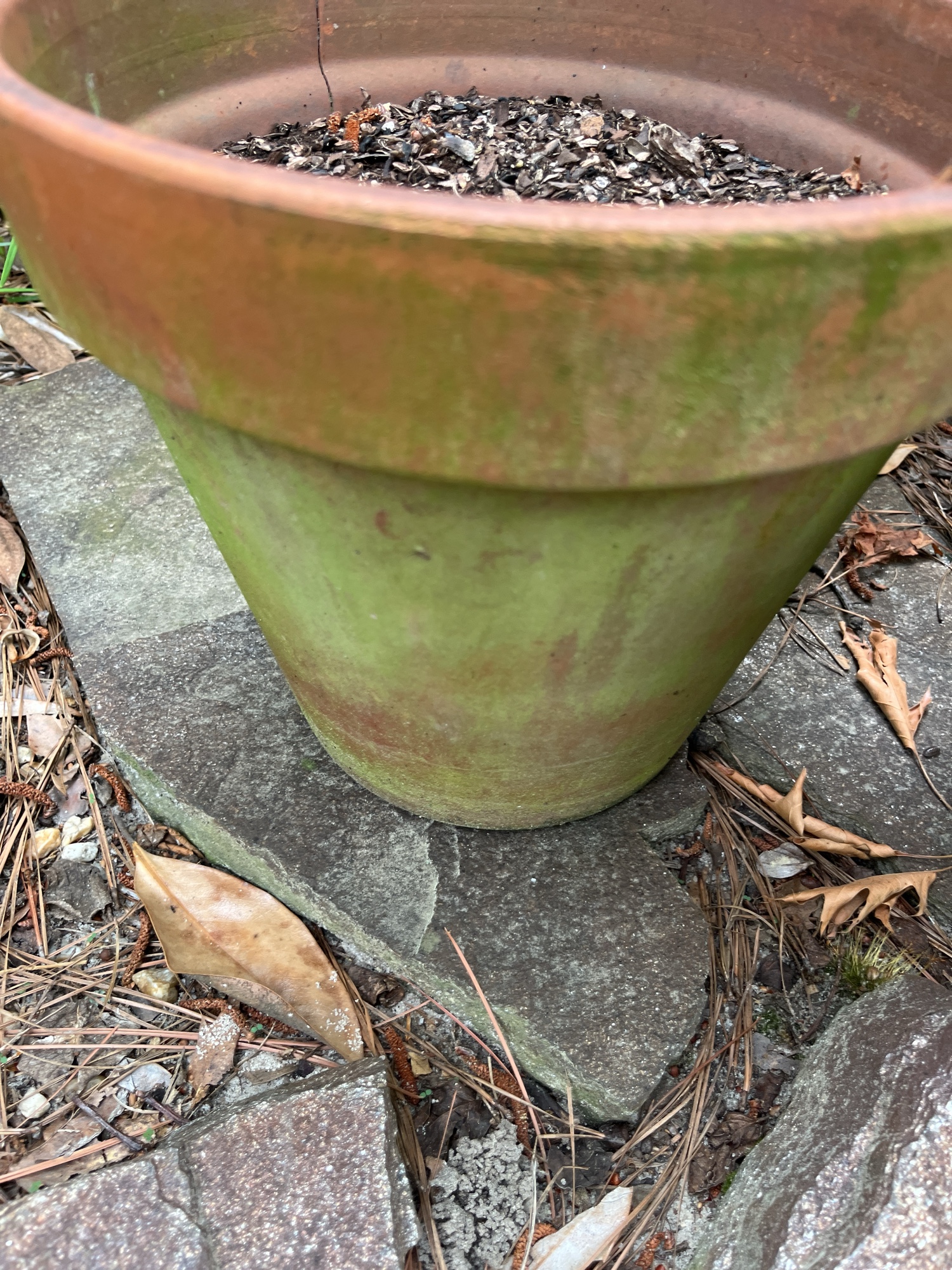 Lot image 4