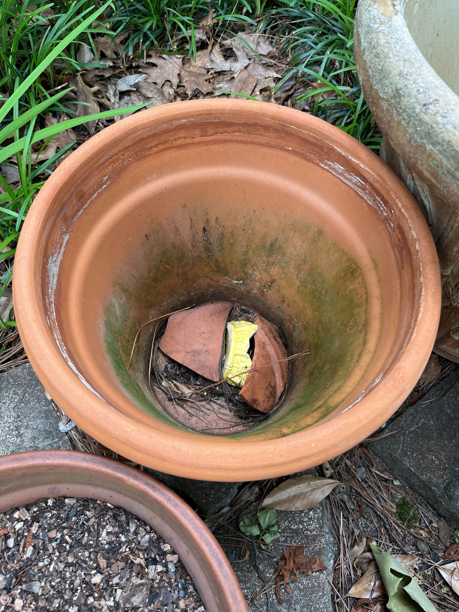 Lot image 6