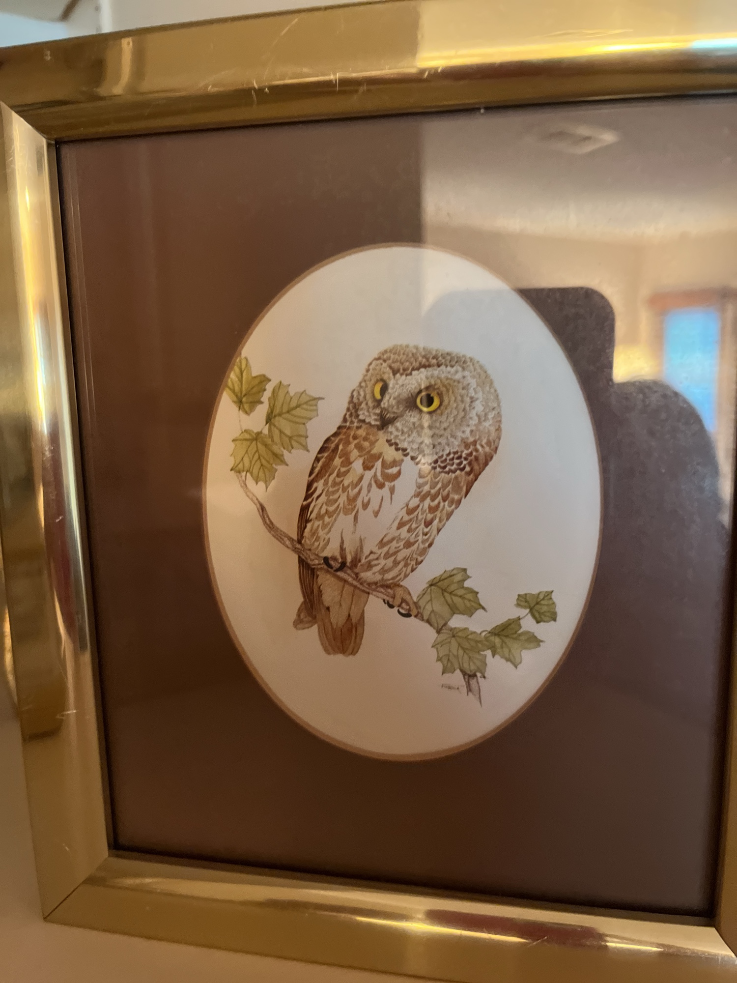 Lot image 6