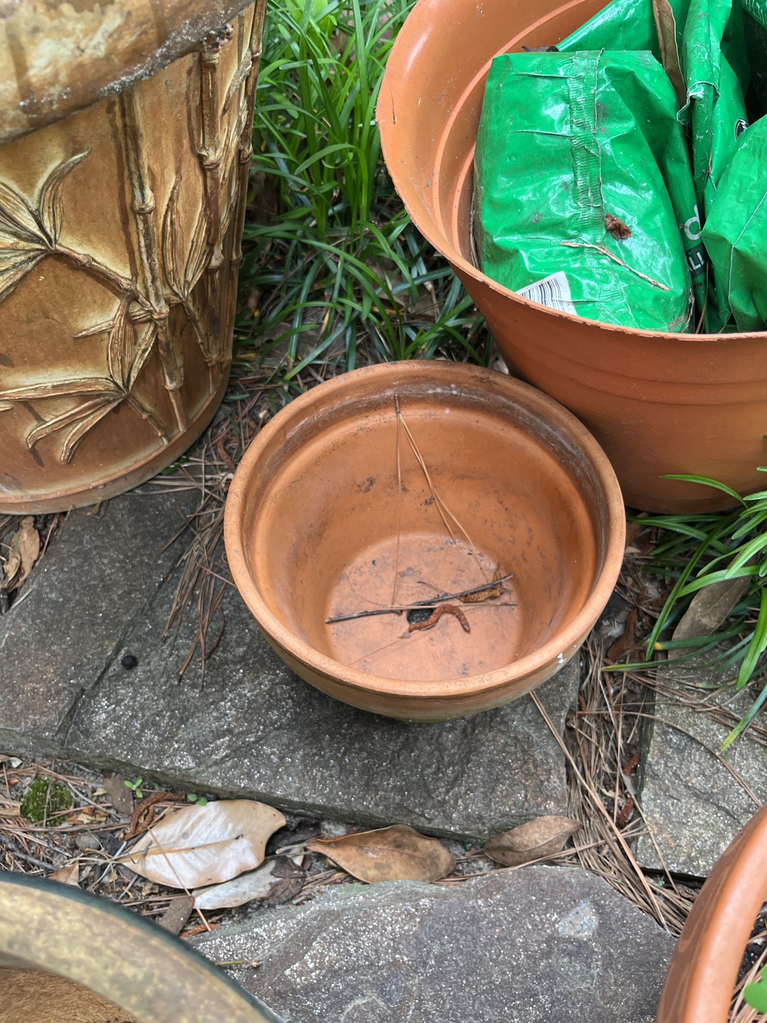 Lot image 8