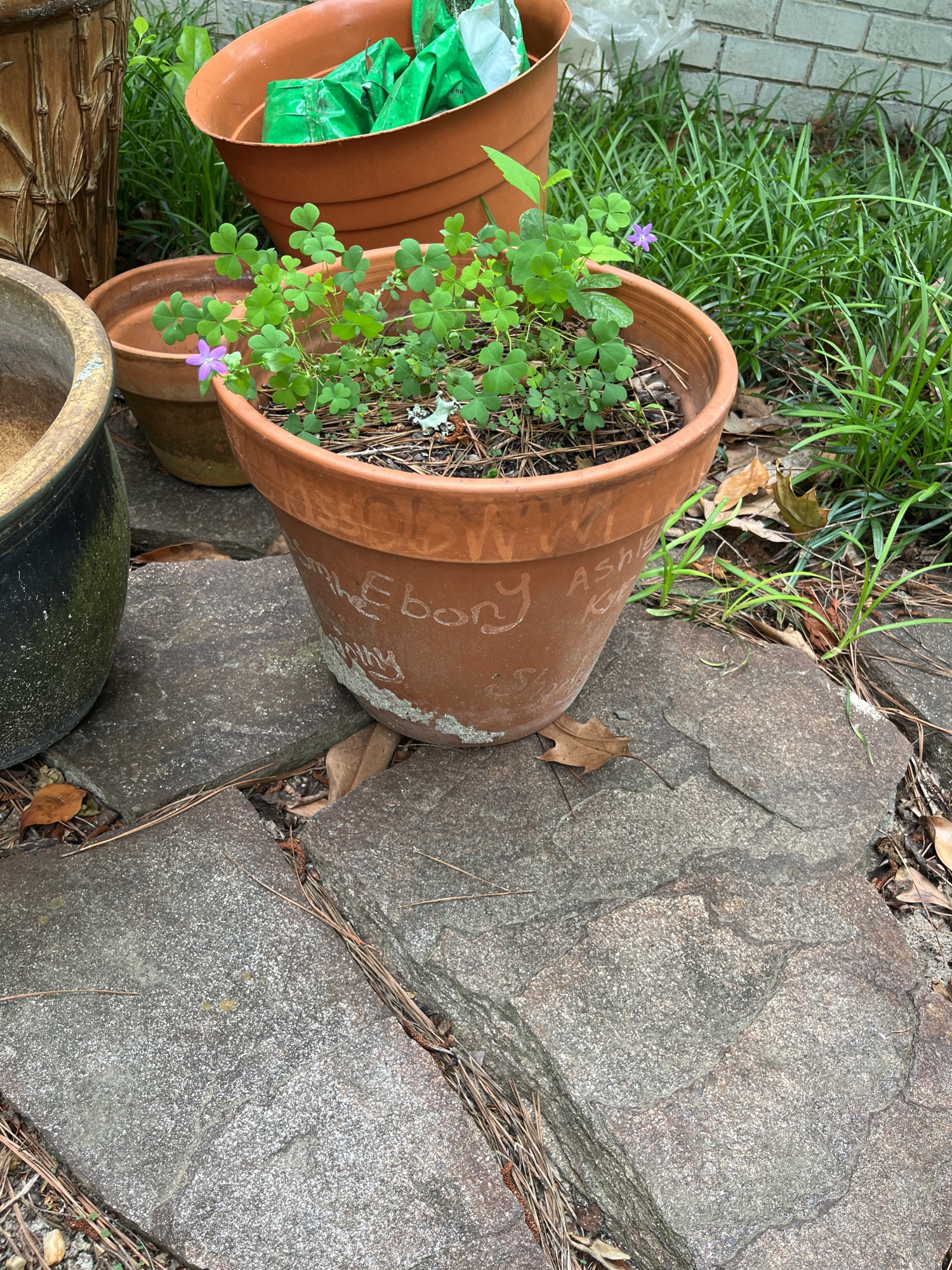 Lot image 10