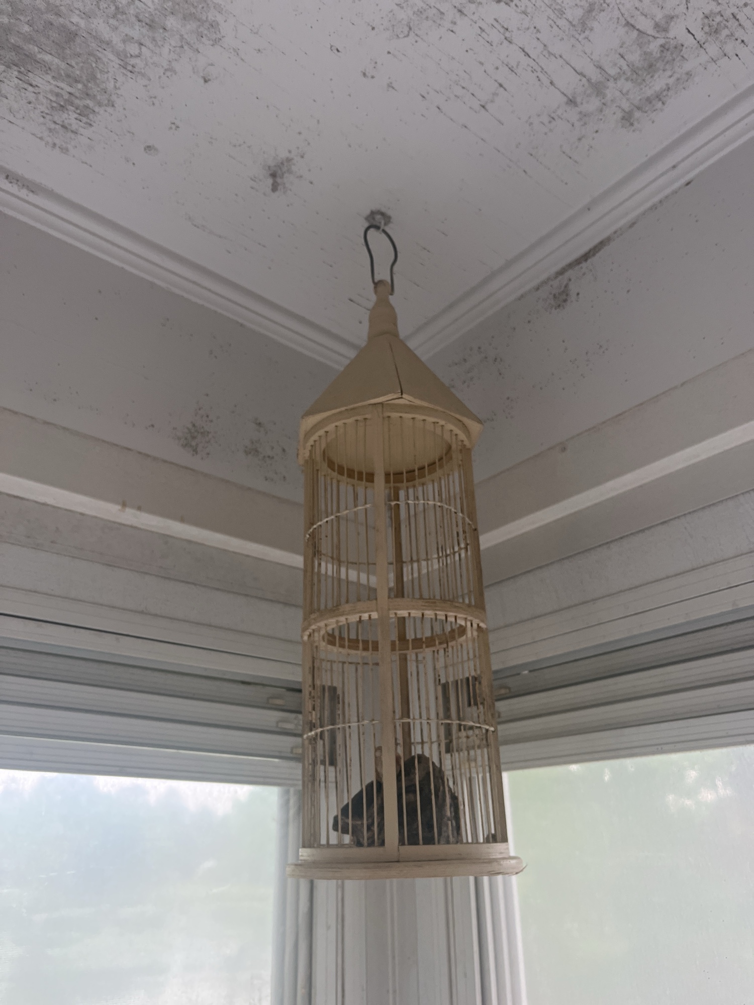 Lot image 1