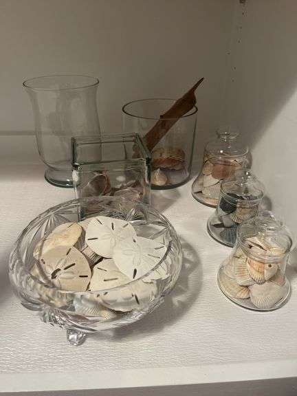 Seashells In Glass