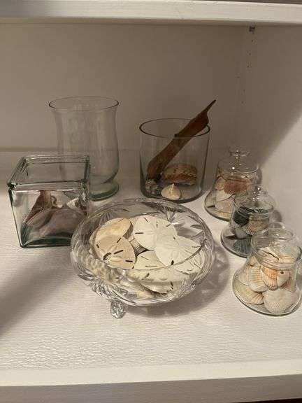 Seashells In Glass