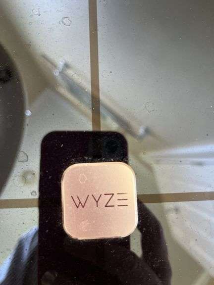 Bathroom scales