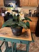 Artificial Flowers & Baskets