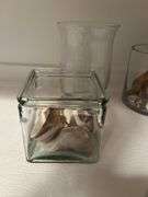 Seashells In Glass