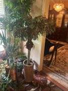 Artificial plant lot