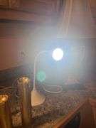Lighting lot