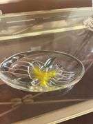 Clear glass lot