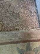 Area Rug