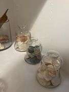 Seashells In Glass