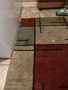 Area rug