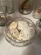Seashells In Glass