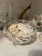 Seashells In Glass