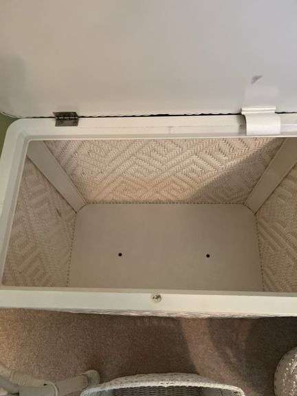 White wicker lot