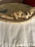 Skirted Table