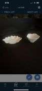 White dish lot
