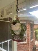 Hanging frog prince