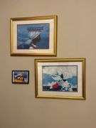 Framed Prints