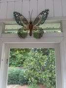 Butterfly decor