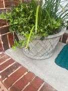 Concrete planter