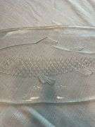 Glass Fish Tray