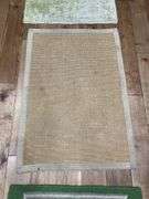 Area Rugs