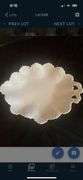 White dish lot