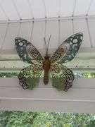 Butterfly decor