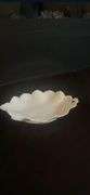 White dish lot