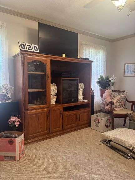 ENTERTAINMENT CABINET IN LIVING ROOM - 12D BY 66W BY 63H