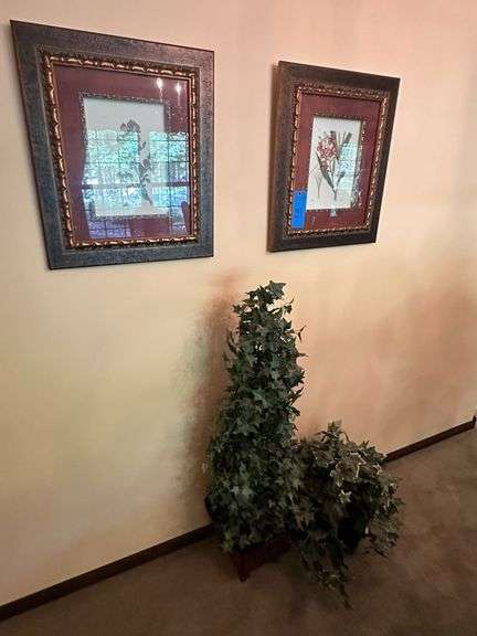 Wall Pictures & Plants