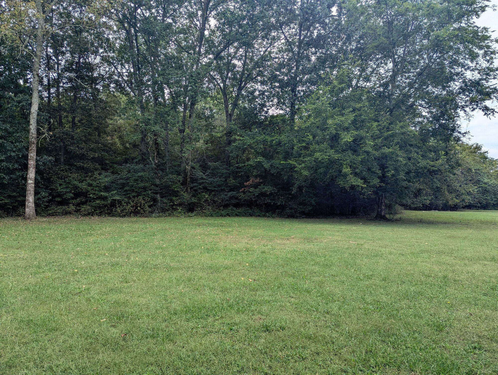 Lot image 87