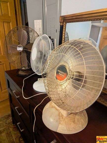 (2) Oscillating Fans & Electric Heater
