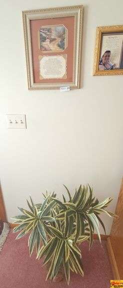 Letter From Heaven Picture & Faux Plant image